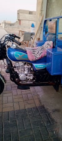 من رخصت صاحب الكروب عندي ستوته 23وراق صولي ستوته مامتعوبه وخيرمن الله ...