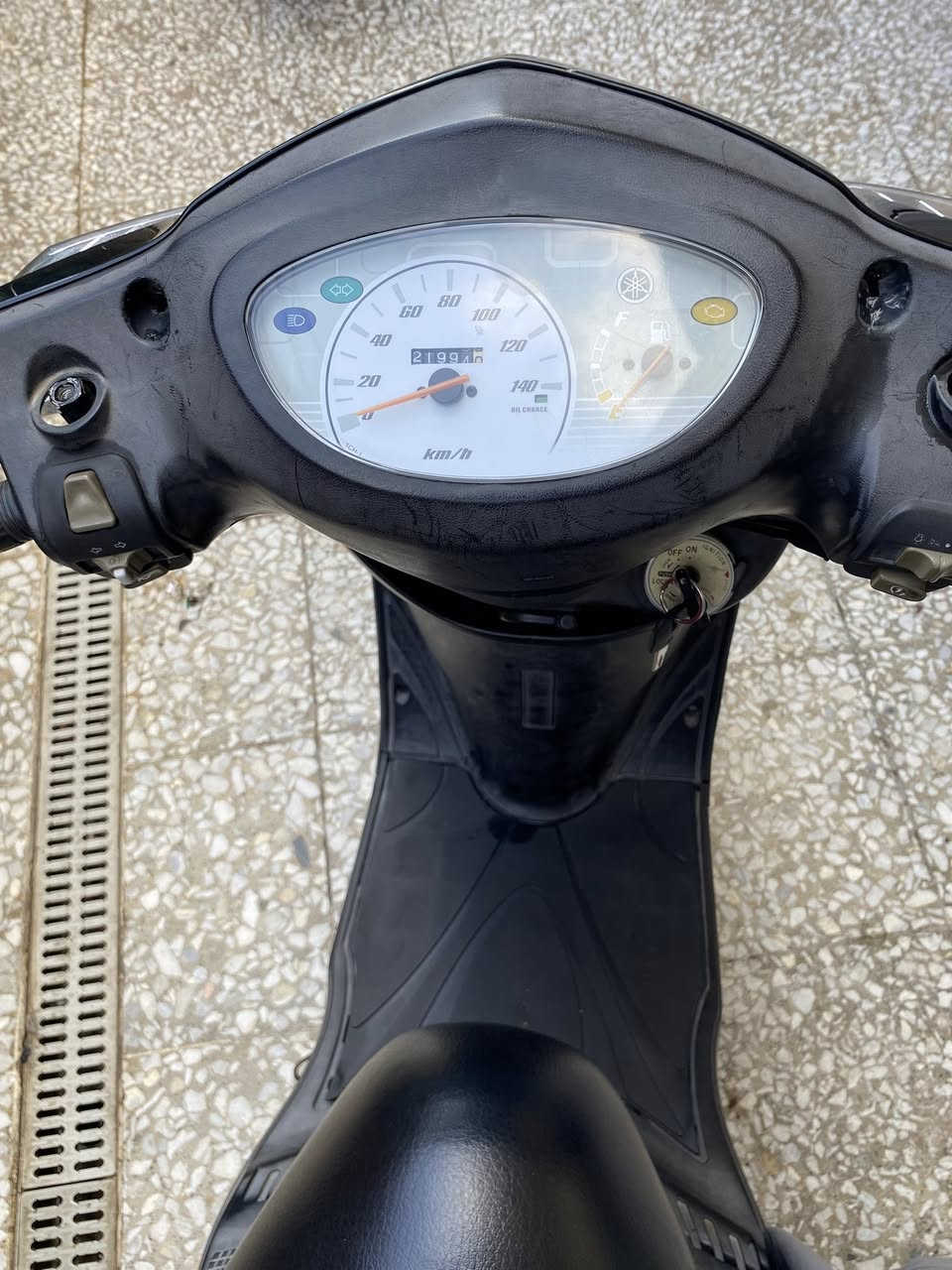 ببغاء رمبه رمبه رمبه كفاله عامة سعرها 950 قفل بدون أي عمله شراي بالعافيه عليه وصل معرض ومنفيس اصلي مالاتها موجودات مكاني بغداد ***********
