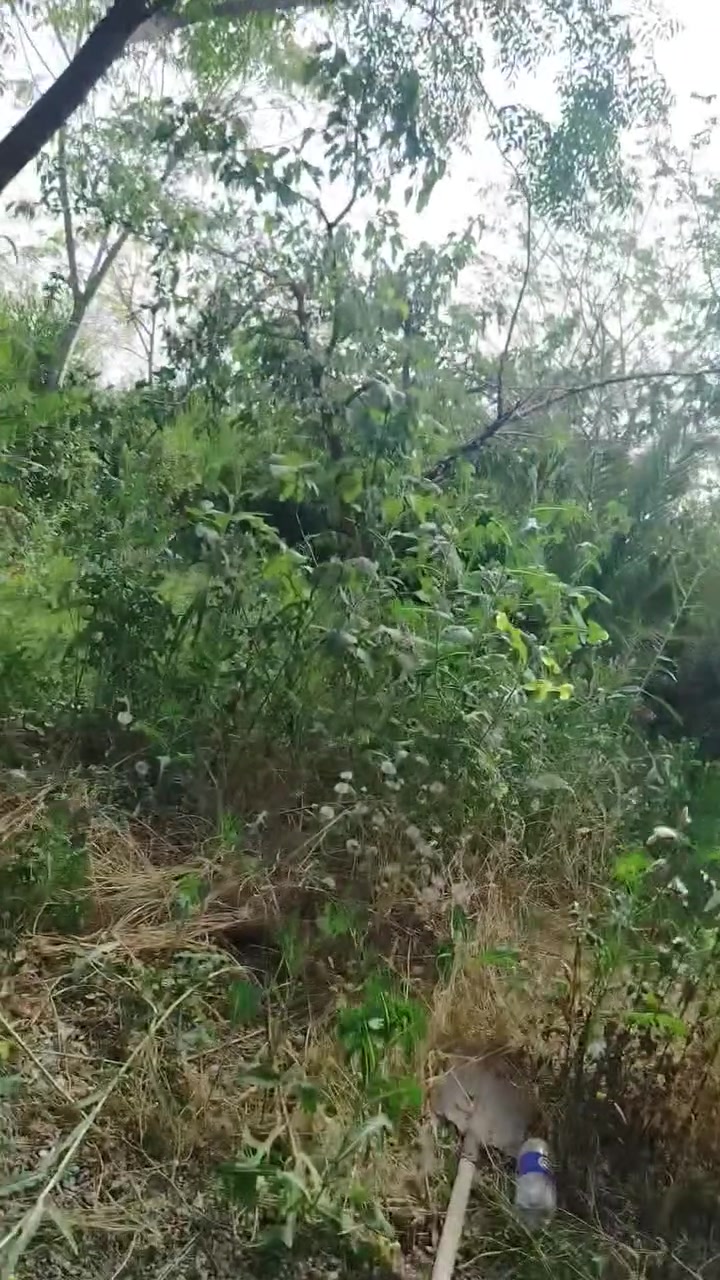 سلام عليكم
بيت للبيع اركوازي كيعان وريا بصف ركن

مساحه البيت 120

غرفه / هول/ مطبخ / استقبال / صحيات كرج داخلي 

أضافه مع حديقه مقابيل بيت مساحته 120 ماي بصفه

خدمات فول مجاري صب  طابو زراعي السعر  28 

للاستفسار اتصال ***********
