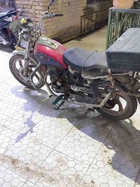 تيموتا • ٤٠٠ • اوراق كاملة