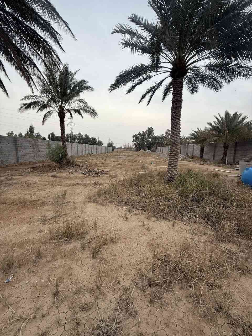 سلام عليكم يعلن مكتب العراق المركزي للوساطة العقارية عن توفر دونم للبيع بواجهة ٢٦ ونزال ٩٠ موقع دونم خلف مسبح جوهرة كنعان يبعد عن شارع العام ٢٥٠ متر دونم مسيج ببلوك ويتوفر بي جميع خدمات (ماء كهرباء تبليط ) سعر الدونم ١٦٠ وبي مجال للاستفسار الاتصال على الرقم التالي ***********
