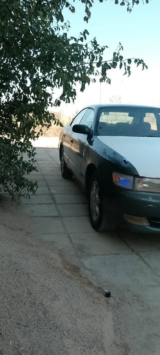 سلام عليكم شيزر موديل 93كفاله من الكص ونقل ولصوليات بيه ضربه جنطه خفيفه تحويل مكينه بيه بدايت ضعف ثنين ونص مكان شطره سعر 34اتصال وتدلل ***********
