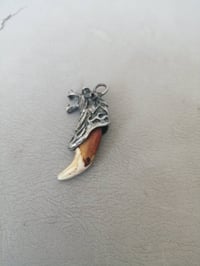 سن الذيب صالهه ٤٠ سنه من جنه بل عماره هوه عدي خذته من رجال بل ريف اعله...
