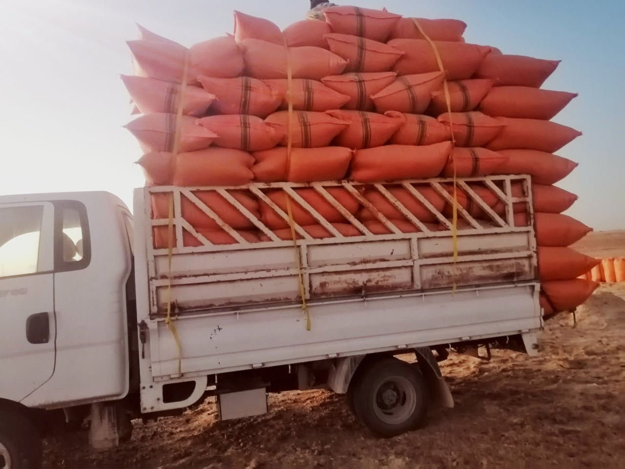 السلام عليكم يوجد الدينا تبن درجة ولة راس كوم الحجم الكيس 60الزوج 3الاف التوصيل مجاني بلد الدجيل الضلوعية يثرب السحاقي ناحية المعتصم العذية رقم الحجز ***********حمل الكية 20
