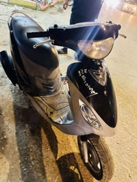 ماكس منغولي • مكفوله • نادر الثانيه