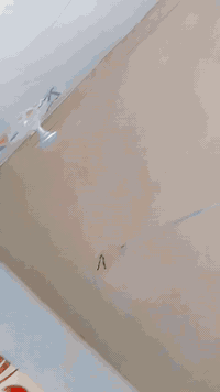 خلفه لبخ سمنت جص بورك واجهات ديكورات جص بلمتر مقطوعه تصفير مطابخ حمامات متفرغ ***********
