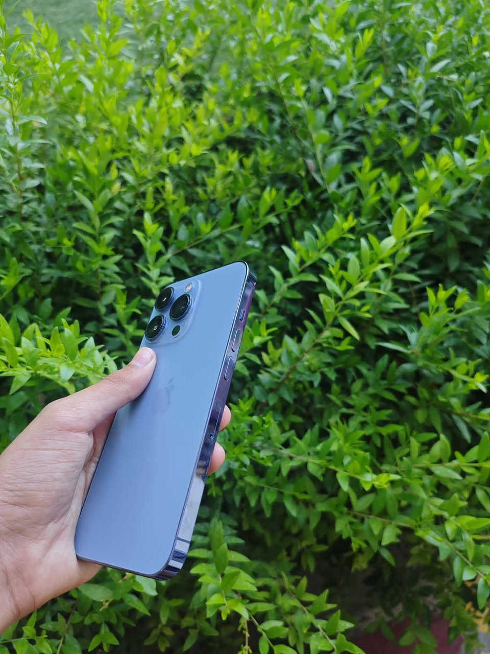 ايفون 13 برو فقط دبل خط شرق اوسط مكفول


**إذا كنت صاحب هذا الإعلان وتريد حذفه لأي سبب، رجاءا أرسل رسالة إلى الدعم الفني**