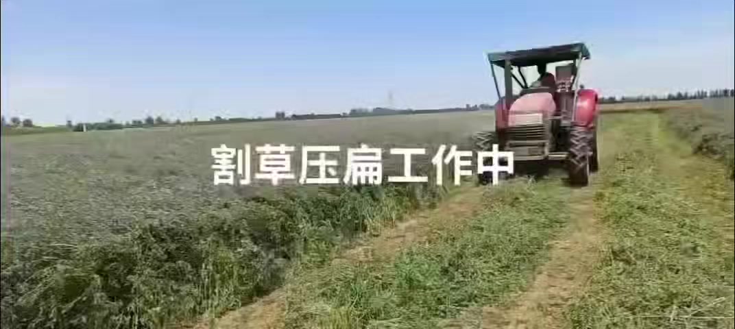 🚜🚜 يلاحظ  عمل حاشوشة الجت الصينية 
  ⚡  العرض ٢٤٠سم
 ⚡   إنتاجية  ٣.٥ دونم بالساعة 
 ⚡   وزن 820 kg 
  ⚡  تركتر   100_140  حصان
              للحجز والشراء الإتصال 
        ***********_*********** 
        معرض خيرات الارض للمعدات الزراعية
