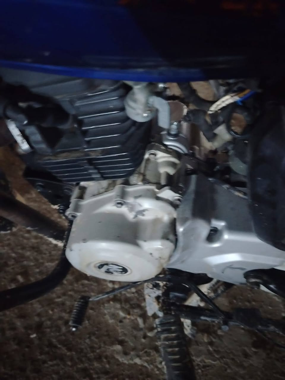 السلام عليكم شباب دراجه بوكسر 2023 اوراق قضايعه السعر 950 مكانه بغداد ***********ال***********
