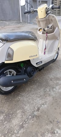 بوليس للبيع بوشه 55 نظيفه كلش السعر 650وبيها مجال للاستفسار 0781285056...