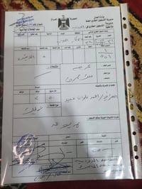 الديوانية • ٥٠٠م • طابو ثاني يوم