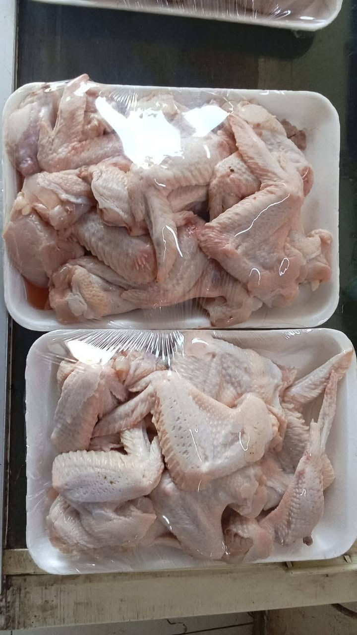 اسعار اليوم 
*********** واتس اب 

سمك ناعم 5250
سمك خشن 5750 
دجاج 3350 
افخاذ و اجنحه 5500
خبز بيت 5 بالف

متوفر المسكوف البغدادي الأصيل
الدجاج العراقي مشوي على الفحم
سمك مقلي

العنوان شارع الخدمي مجاور كرزات عمو علي
