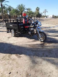 ستوته • موديل ٢٢ • كفالة عامه