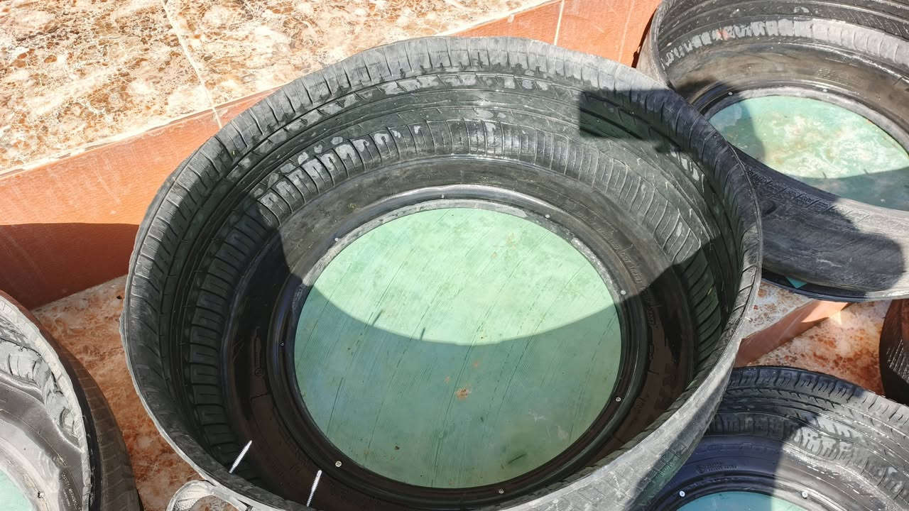 سلام عليكم ورحمة الله وبركاتة معالف البيع وجوابي حجم كبير شغل رقم واحد سعر المعلف 5 وسعر جابيه حجم كبير ب7 مكاني ناحية شوره التصال برقم ***********
