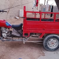 ستوته • أوراق أصلية • نجف