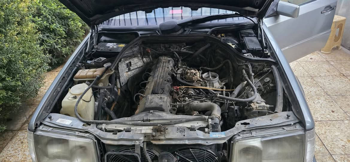 السلام عليكم مارسدس دب ١٩٩١ سلفر  للبيع
السلام عليكم مارسدس دب ١٩٩١ سلفر  للبيع
رقم صلاح الدين  بسمي 
.مكينه بلاد  300 عنكبوت 
اي ضربه مابيه.گشر قليل خياس بلهلال الخلفي  ولا لحيم
تبريد ثلج منضومه كله جديده مع الراديتر
شاشه وسماعات جدد
السعر ٧٥ وبي مجال  
اي استفسار خابر وبيك خير ودلل جاهزه من كلشي 
السياره نقص فقط اريل كهربائي
مكان السيارة بغداد ابو غريب بسمي ثاني يوم احولك
رقم ***********
