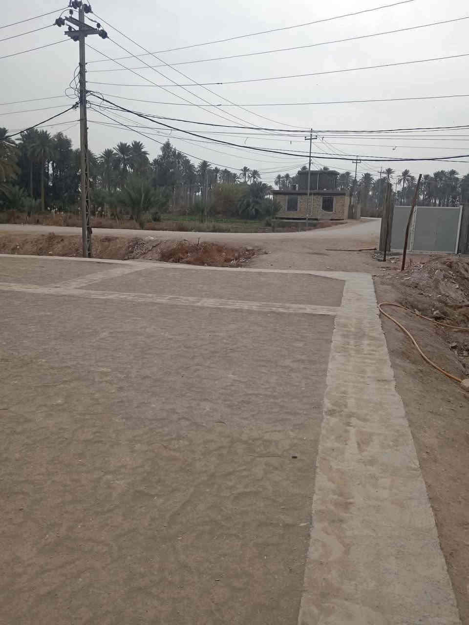 دونم الا 300 متر طابو 25 سند تحويل اسهم باسمك في كربلاء شارع ام ام البنين منطقه طنوبه كافه الخدمات مدرسه متوسطه ابتدائيه مدرسه الثاني ماله العباس مباشره عالشارع للمعلومات اتصال/*********** /***********
