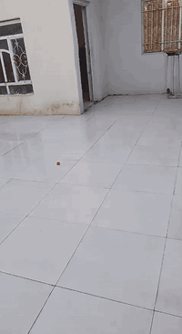 طابو زراعي • ١٦٠م • حي الصناعي