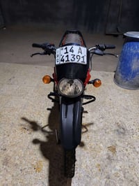 بوكسر • ستوته • عادي