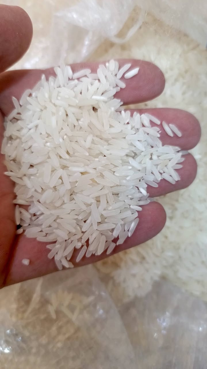 يوجد لدينا تمن اوروغواي 25 كيلو غرام سعره 27 الف دينار العنوان
القائم حصيبة شارع الحلاقين قرب وكالة احمد جمال فصال


**إذا كنت صاحب هذا الإعلان وتريد حذفه لأي سبب، رجاءا أرسل رسالة إلى الدعم الفني**