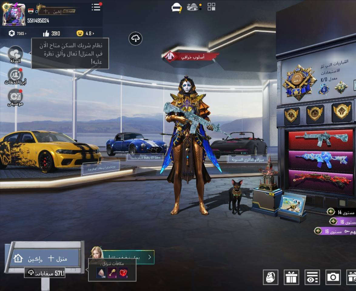 سلام عليكم حساب للبيع سعر 200 الف ثلجي ماكس خوذه راكب جحيم مومياء 42 سلاح يطور ربط نضيف تفاصيل اكثر لوبي او خاص


**إذا كنت صاحب هذا الإعلان وتريد حذفه لأي سبب، رجاءا أرسل رسالة إلى الدعم الفني**