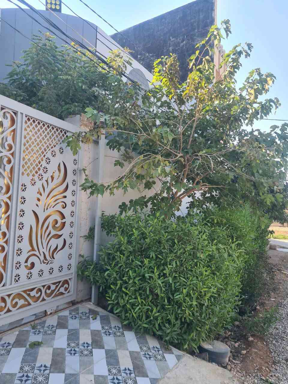 بيت ١٨٠م طابو زراعي بناء حديث يتكون من استقبال ومطبخ وصالة وثلاثة غرف نوم ومجموعة الصحية موقع شارع البريد خلف دكتور  قيس ابو لاسنان للبيع ***********
