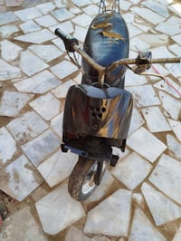 شغالة • تخربط • بنجره حديد