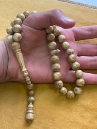 مسباح نوادر • مرجان وردي • ١٢مل