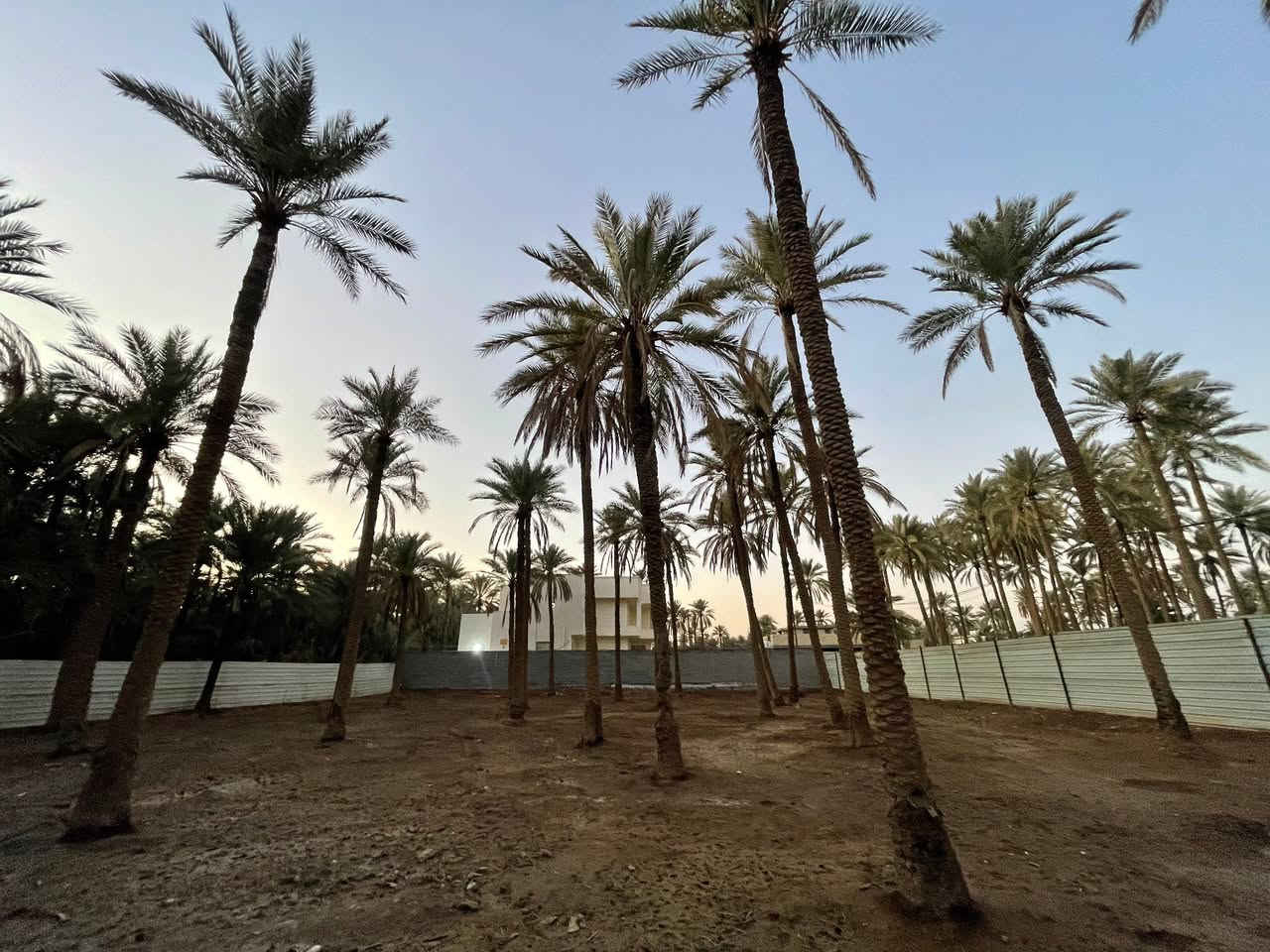 الف متر (مسيجة) للبيع في  كربلاء المقدسة  في شارع السيدة زينب  بالقرب من القنطرة البيضاء في منطقة أبو ماشة 
تتوفر جميع الخدمات  ماء كهرباء وكل شي والشارع مبلط لحد الألف متر
 للاستفسار اكثر  التواصل على الرقم: *********** (يتوفر واتساب)
هذا رقمي ومسجلة باسمي
