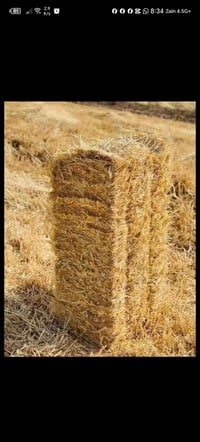 كبس تبن • مضغوط • نجف