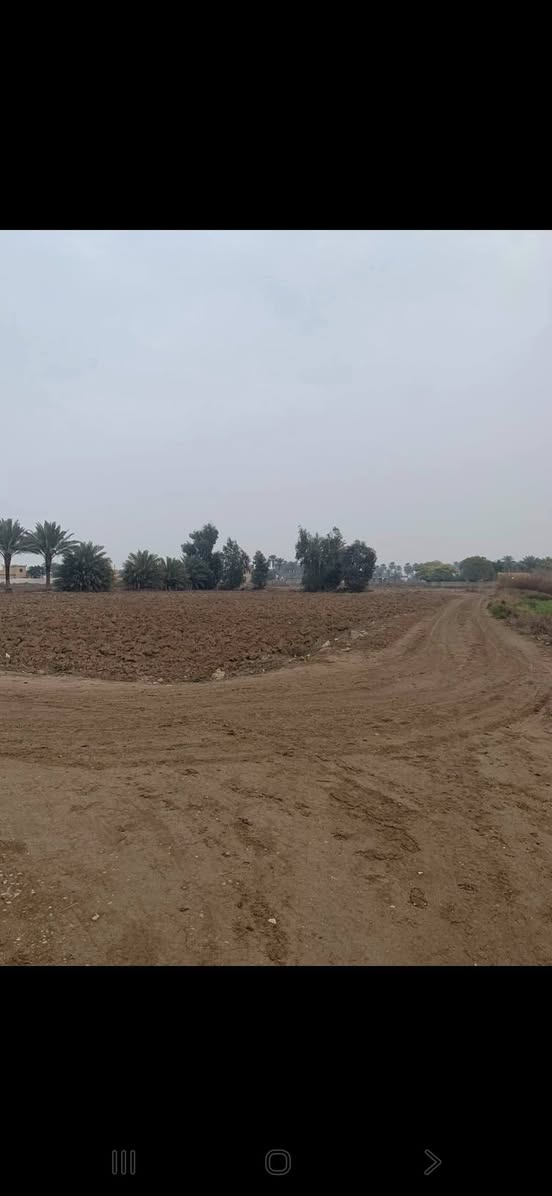 ارض للبيع 2 دونم  زراعي سند 25
الموقع اطراف بغداد قرية المراسمة 
قريب من الفوج الألي الاول للتحادية
*********** واتساب

