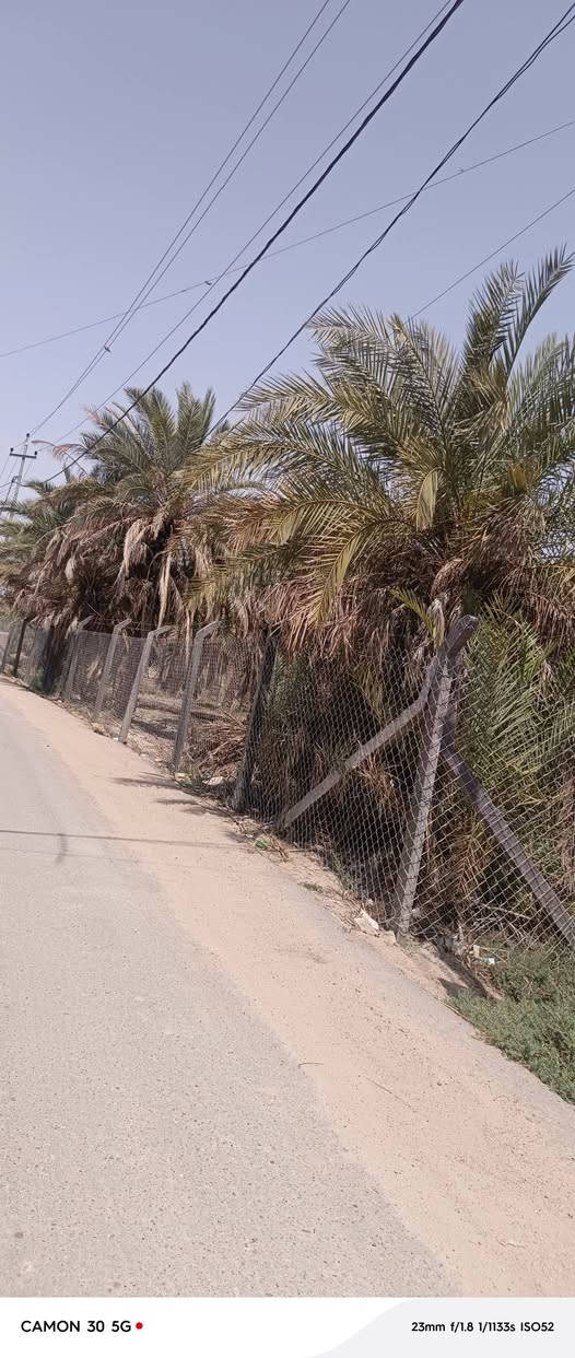 السلام عليكم تفاصيل البستان داخل الصور للاتصال ***********
