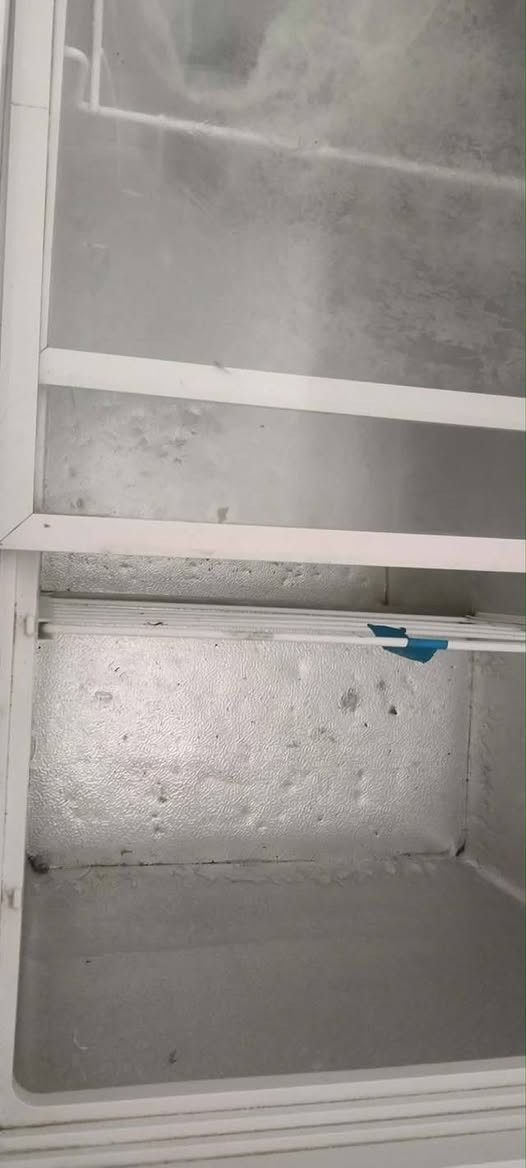 سلام عليكم متاح مجمده شرط نضافه وتجميد استعمال قليل سعر 100مكاني كربلاء العطيشي استفسار انتصال ***********
