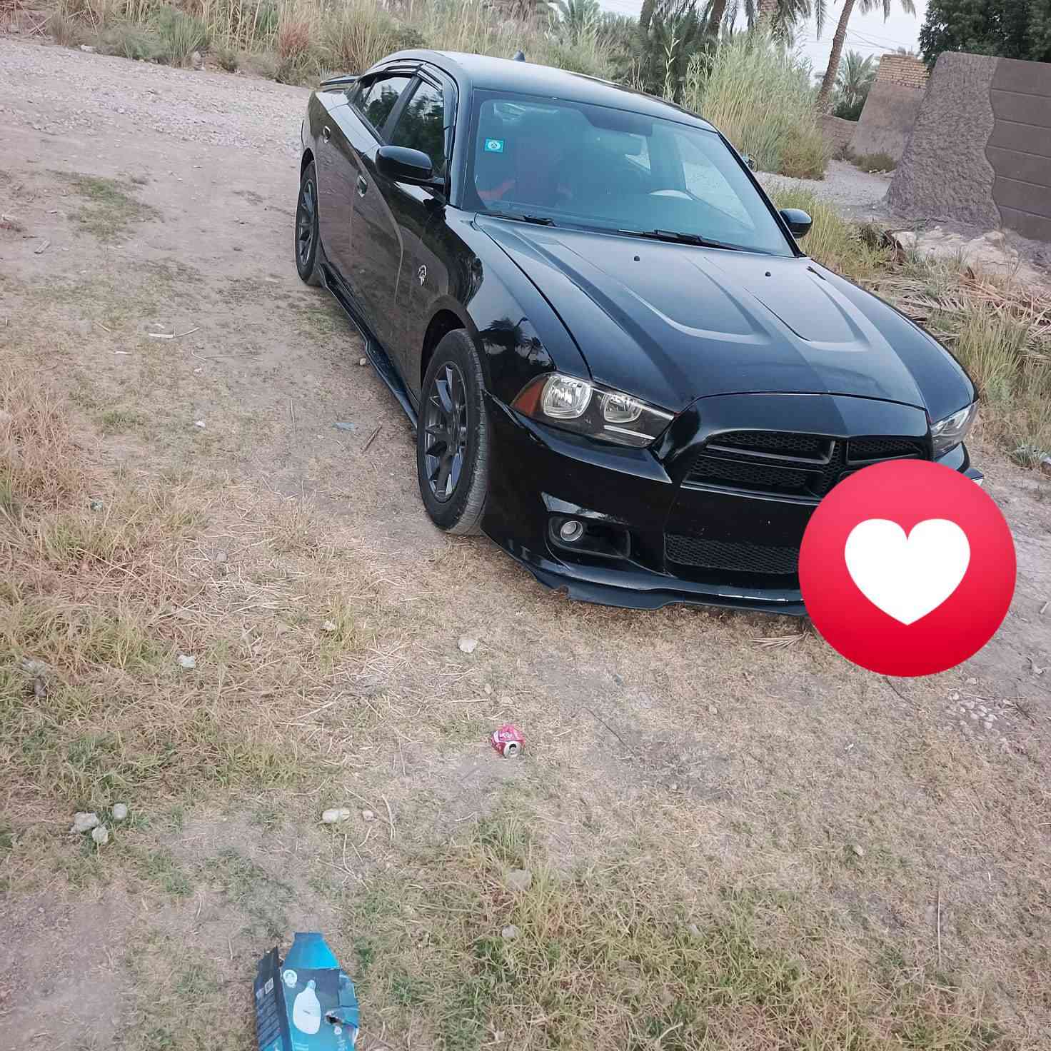 السياره بيع فقط 

جارجر 2014 
 حجم المحرك سته سلندر 3600
السياره فول ما عدا الفتحه 
تحكمات ستيرن
كير طياره 8 نمر
شفتات
شاشا كبره
كشنات حضن
كشنات تدفئه
غرفه صوتيه
دمام خلفي بلادي
دعاميات srt
لايتات زنون 
السياره مال جناي  سياره بيه قطعتين كلير بمركيا بل العراق بيه قطعتين بدون دواخل 
لا شواصي ولا لغود ولا كص كلهن مابيهن اي ضربه
مكاني بابل طريق سريع  نتصال ع رقم ***********.  ‏‪***********‬‏
