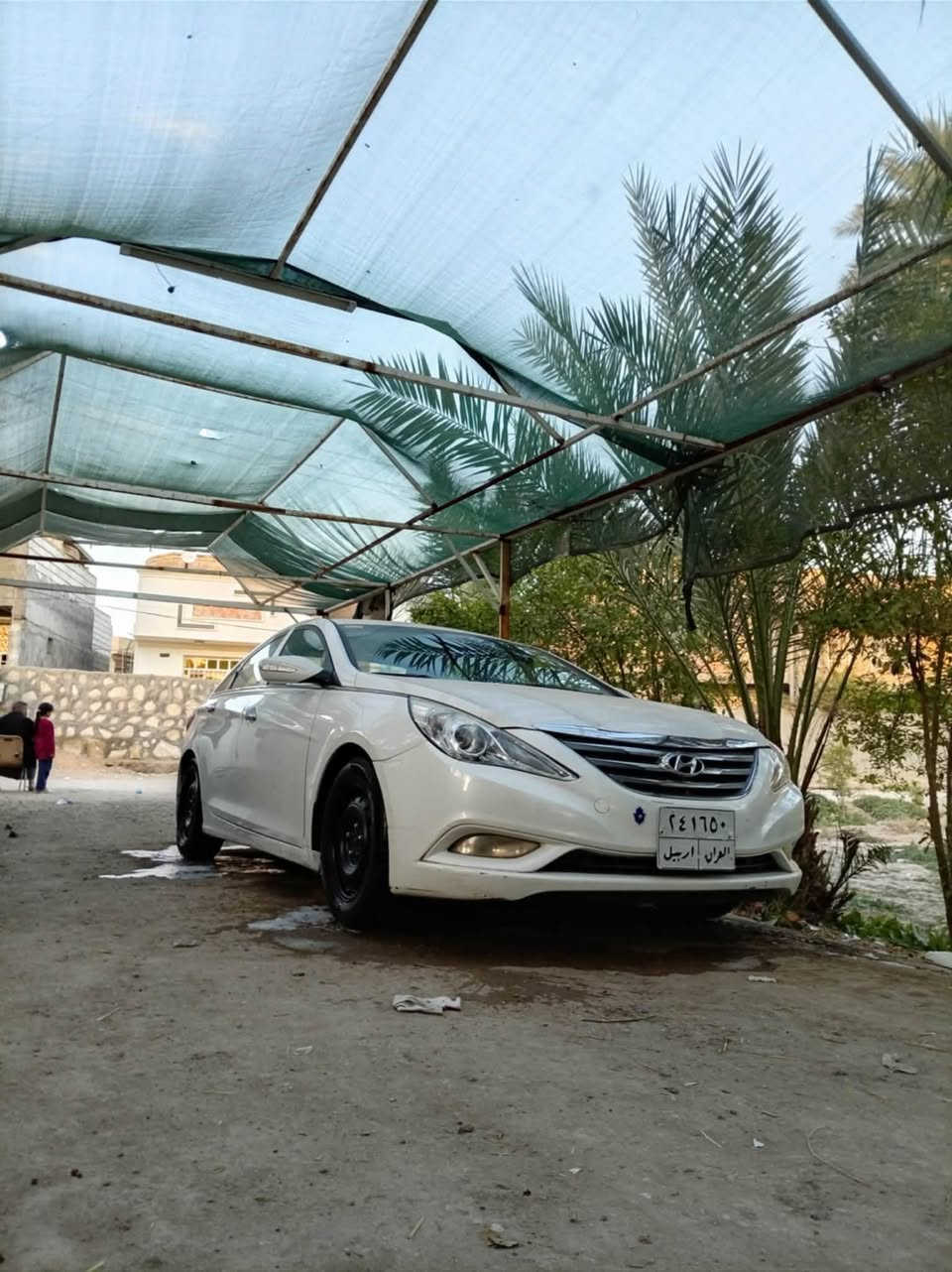 سلام عليكم سوناته موديل 12 سياره كير مكينه حداديه تخم تاير تتدفئه تبريد مكينه 2400 سياره خير من الله بيهه قطعه وحده البنيد مبدل الباقي كفاله دوشمه    ويل حراري سياره احله من صوره   رقم اربيل مكان حله ابو غرق السعر خاص ***********
