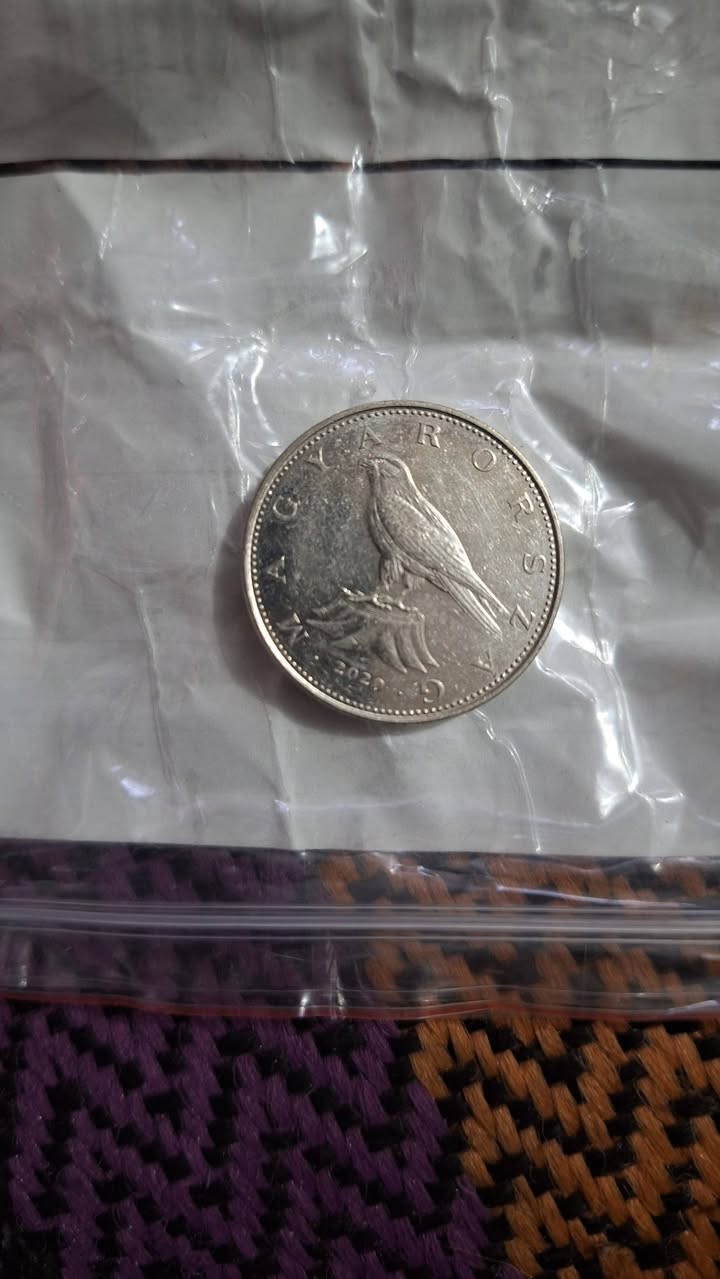 عندي ١٣ وحده من هذن


**إذا كنت صاحب هذا الإعلان وتريد حذفه لأي سبب، رجاءا أرسل رسالة إلى الدعم الفني**