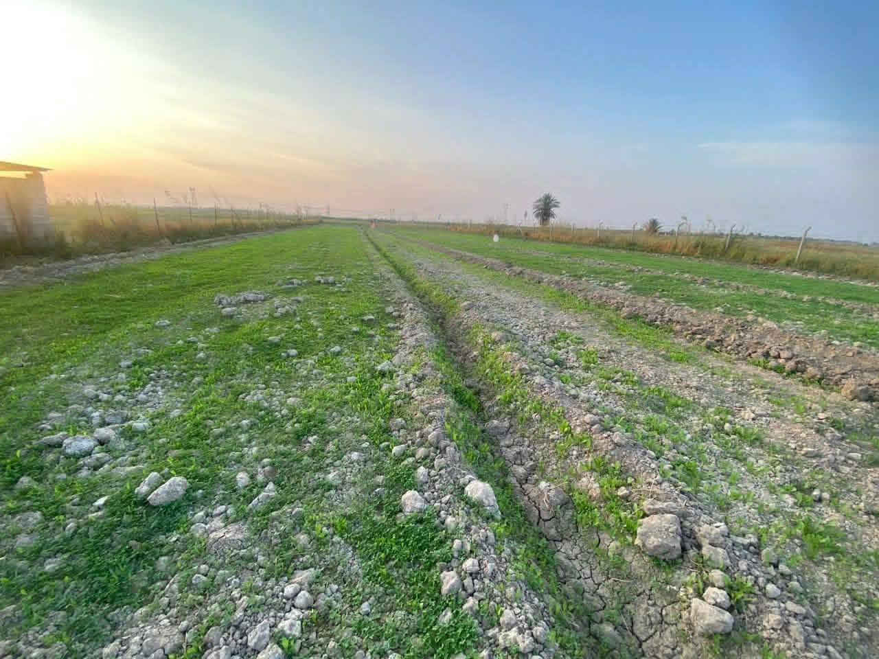 دونم ونص #نهاية الحديد القديمة  يتوفر ماء وكهرباء قريبة

وايضا بدأ المكان تنتشر بي المزارع 

#طابو زراعي سند 25 

#السعر ٤٢ وقابل للتفاوض 

ملاحظة الدونم بعيد يصلح مزرعة وابن الريف ممكن يسكنه

لان مو كلش بعيد عن السكن.     ***********

لكيشن https://maps.app.goo.gl/g5Tcv5R5LHCgQzcW6?g_st=it
