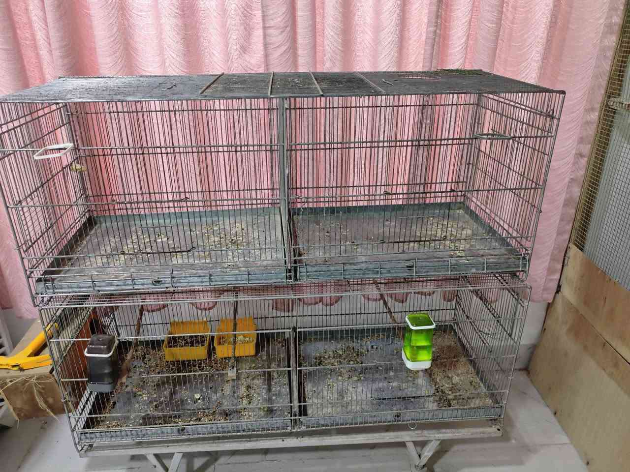 متاح اقفاص للبيع


**إذا كنت صاحب هذا الإعلان وتريد حذفه لأي سبب، رجاءا أرسل رسالة إلى الدعم الفني**