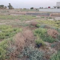 النصر حي الزهور • ٣٦٠م • قريبة مستوصف