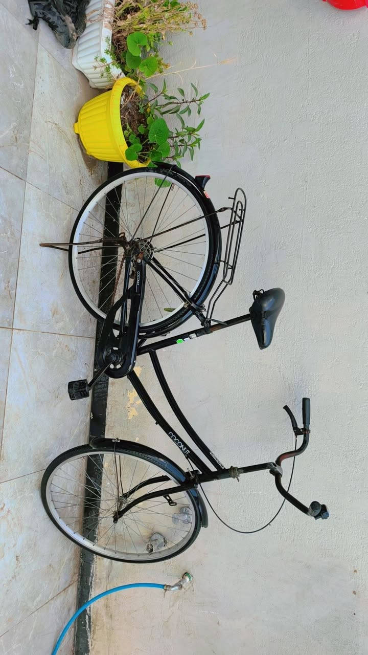 للبيع بايسكل بناتي اخو الجديد


**إذا كنت صاحب هذا الإعلان وتريد حذفه لأي سبب، رجاءا أرسل رسالة إلى الدعم الفني**