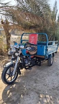 ستوته • موديل ٢٠٢٢ • بابل مسيب