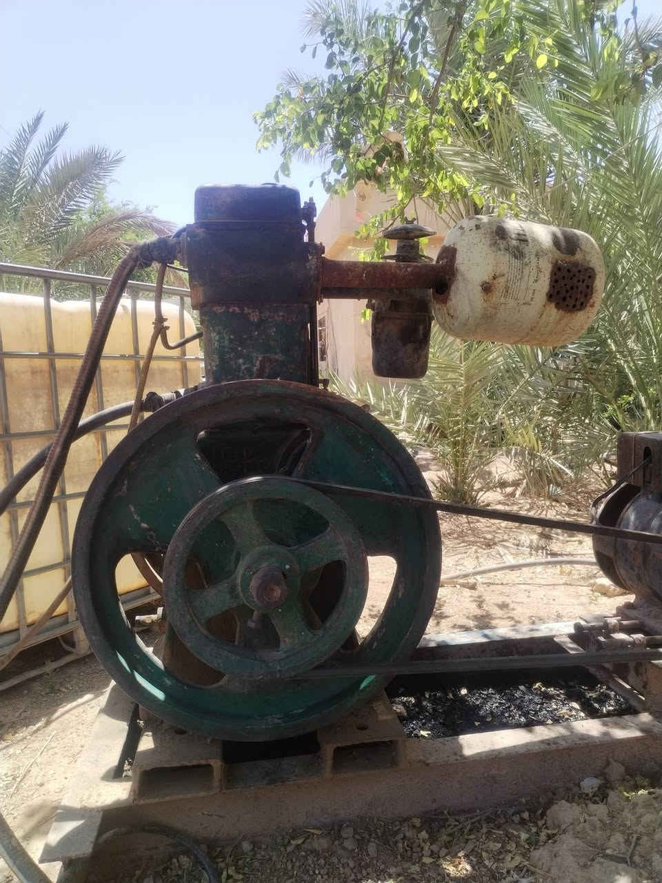 للبيع مولدلسترفرد مارشال ابو8 مولده سبعه ونص فلاوين كبير رقم***********) *********** المكان ديالى العضيم
