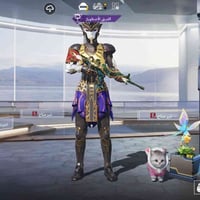 نجف • سعر مناسب • وجه لوجه