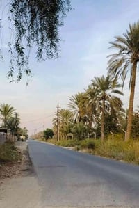 ١٠ دونم • طابو • المدائن سلمان باك