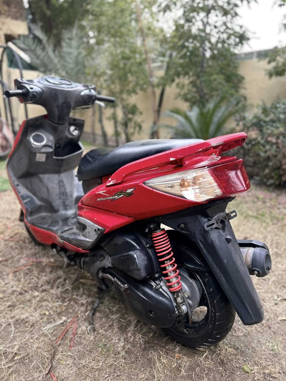 سكنس فحل رمبه رمبه كفاله عامه ختم واحد كلها بلاديه حت المازدات والسواد والترايش مختمه صار شهرين نازله رمبه بعدها نايلون الدراجة تاخذها من باب البيت وجيب الفيتر ليعجبك وتعال مكاني بغداد حي اور *********** السعر 750 ماكو هيج نضافه بهيج سعر
