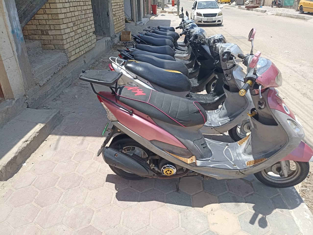 درجات ماكسات منغولي زائد ماكس عدله بوشه 49 كامل مواصفات كل نقص ما بيهن مكاني ناصريه الشهداء ***********1
