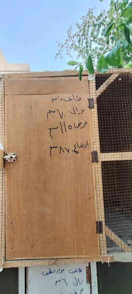 السلام عليكم متاح حاضنات نظافة 90 بالميه استخدام قليل عنوان حله
***********
