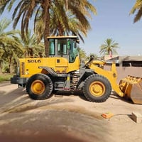 شيول صيني • موديل 2010 • كفالة عامة