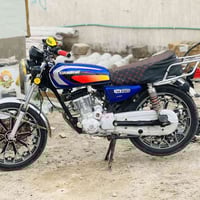 درجة 2024 • أوراق كاملة • الحلة شوملي