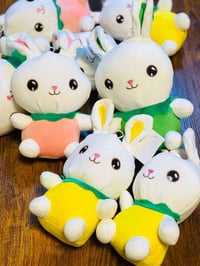 دمية • ارنب • بنوتات